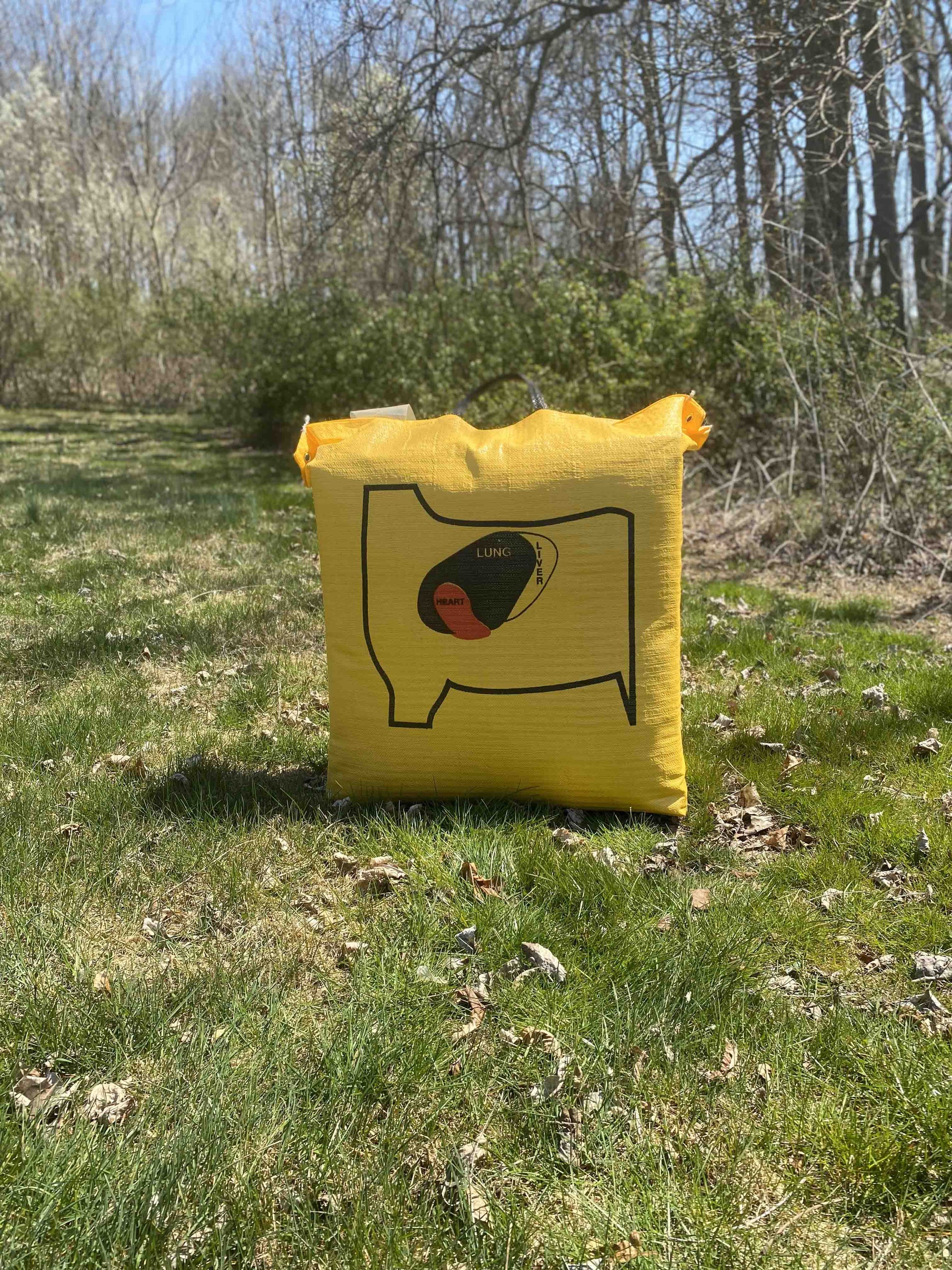 Ballistic 350 Archery Bag Target - Vanguard Outdoors