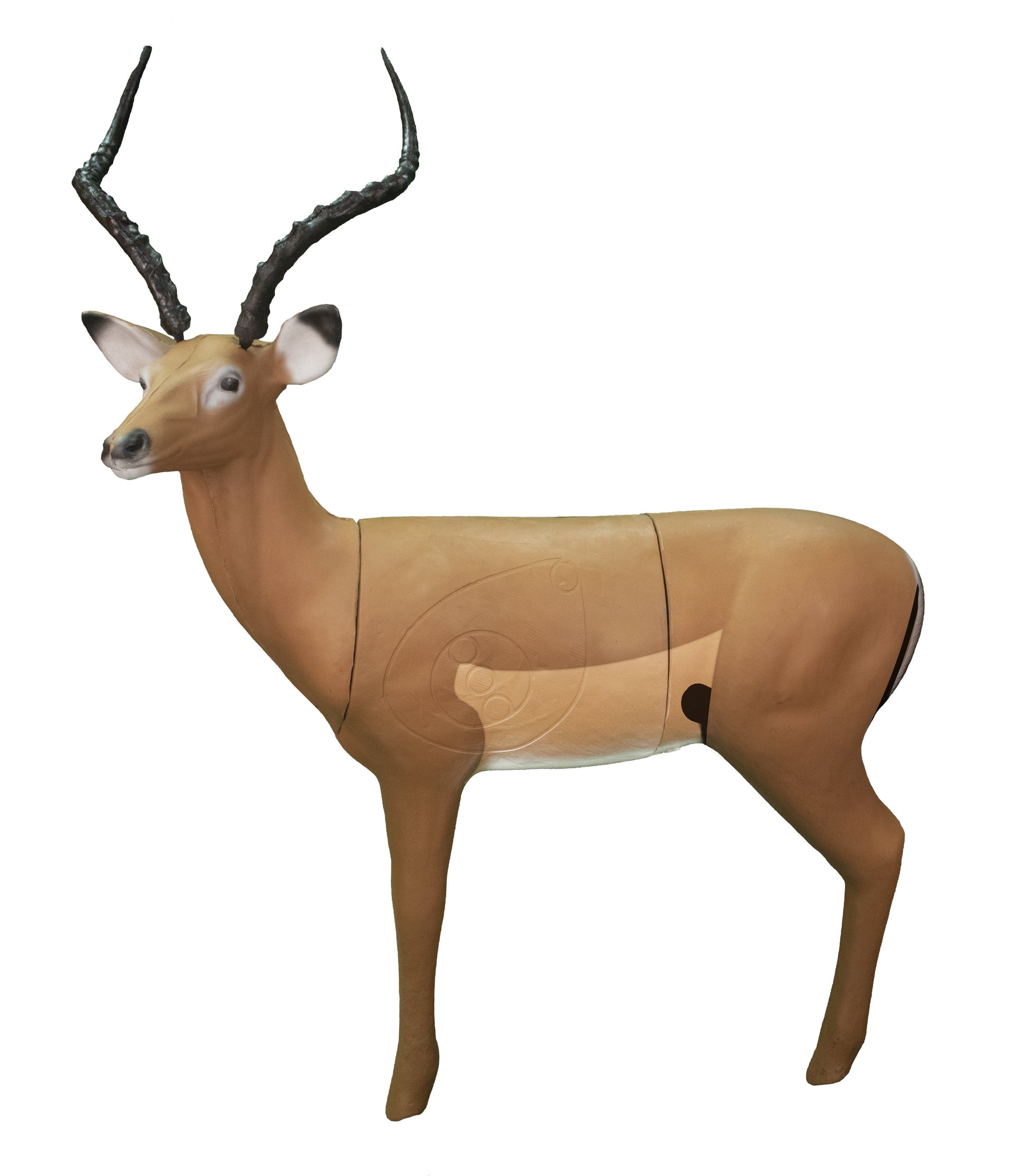 Real Wild 3D African Impala Archery Target - Vanguard Outdoors