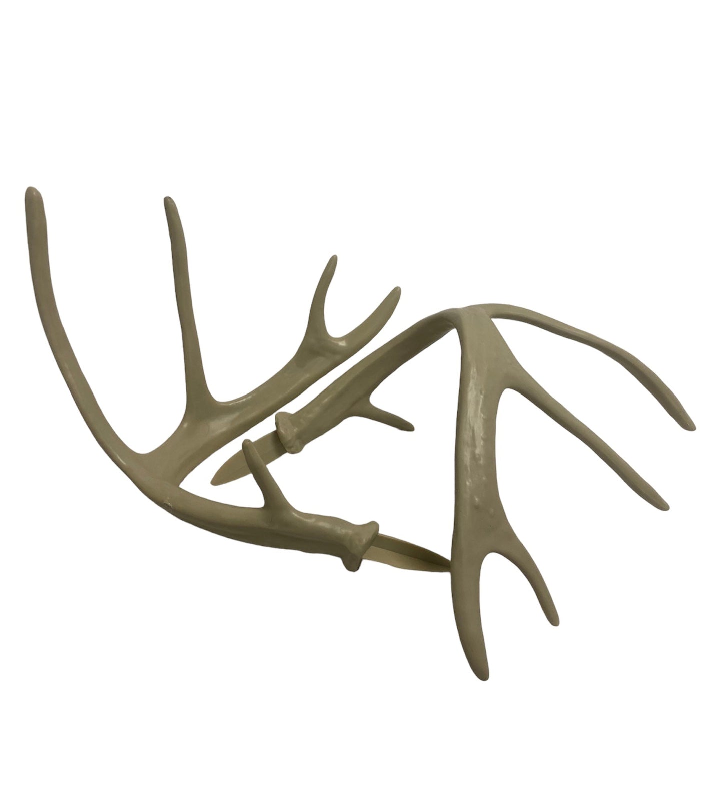 Whitetail Deer Replacement Antlers - Vanguard Outdoors