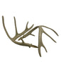 Whitetail Deer Replacement Antlers - Vanguard Outdoors