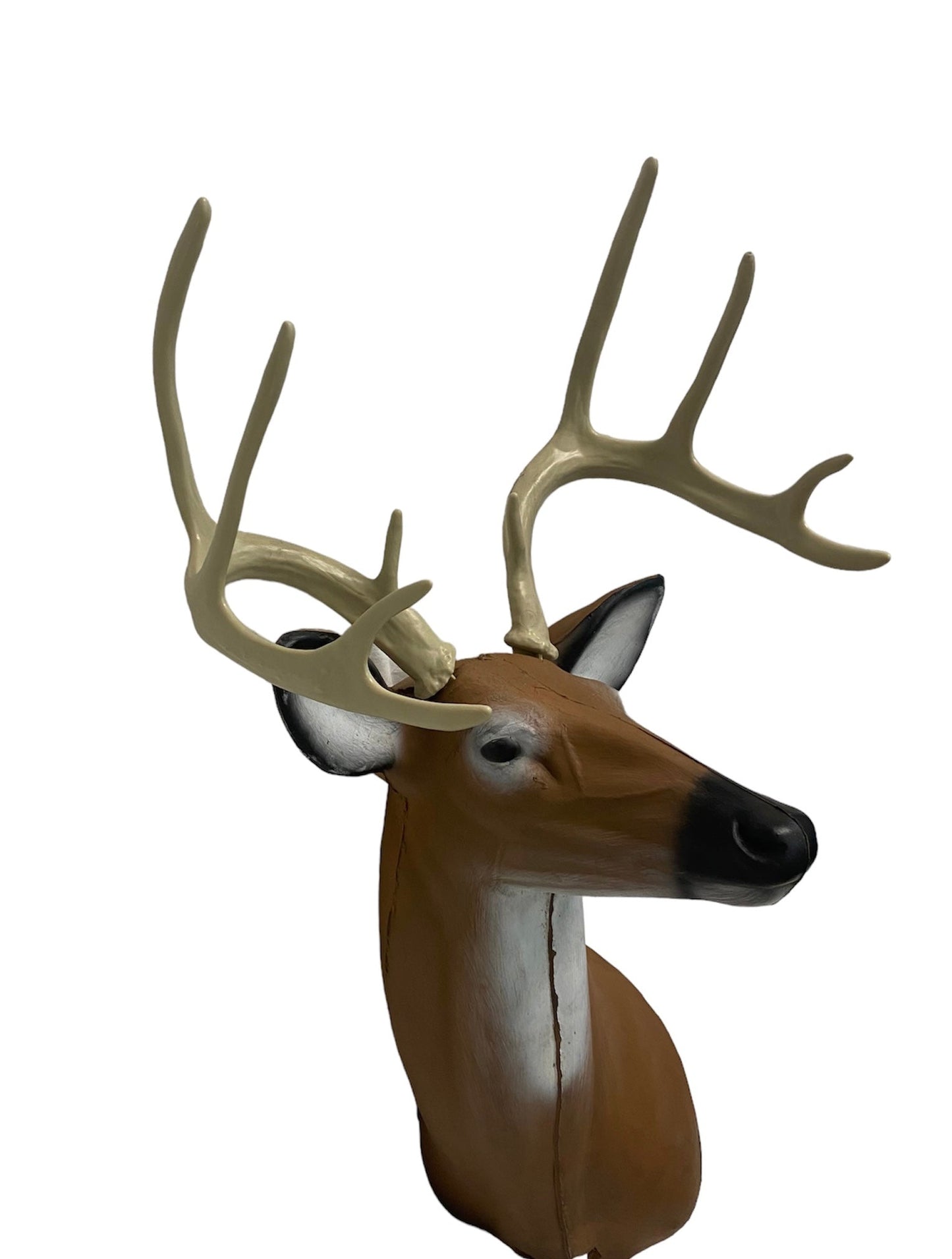 Whitetail Deer Replacement Antlers - Vanguard Outdoors