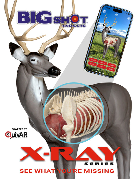 X-Ray Series Mule Deer - Vanguard Outdoors