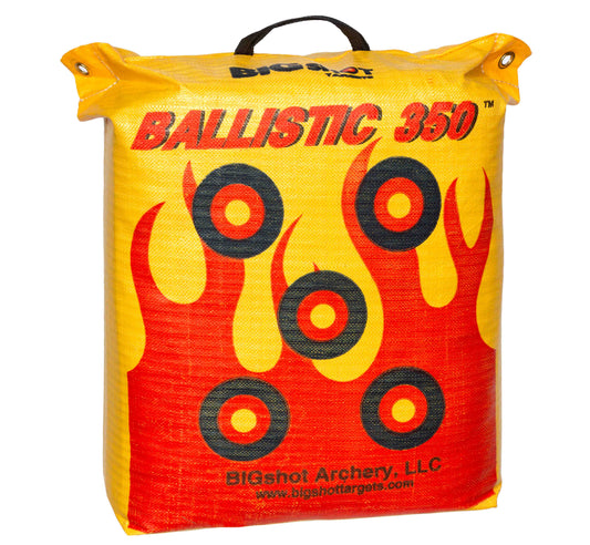 Ballistic 350 Archery Bag Target - Vanguard Outdoors