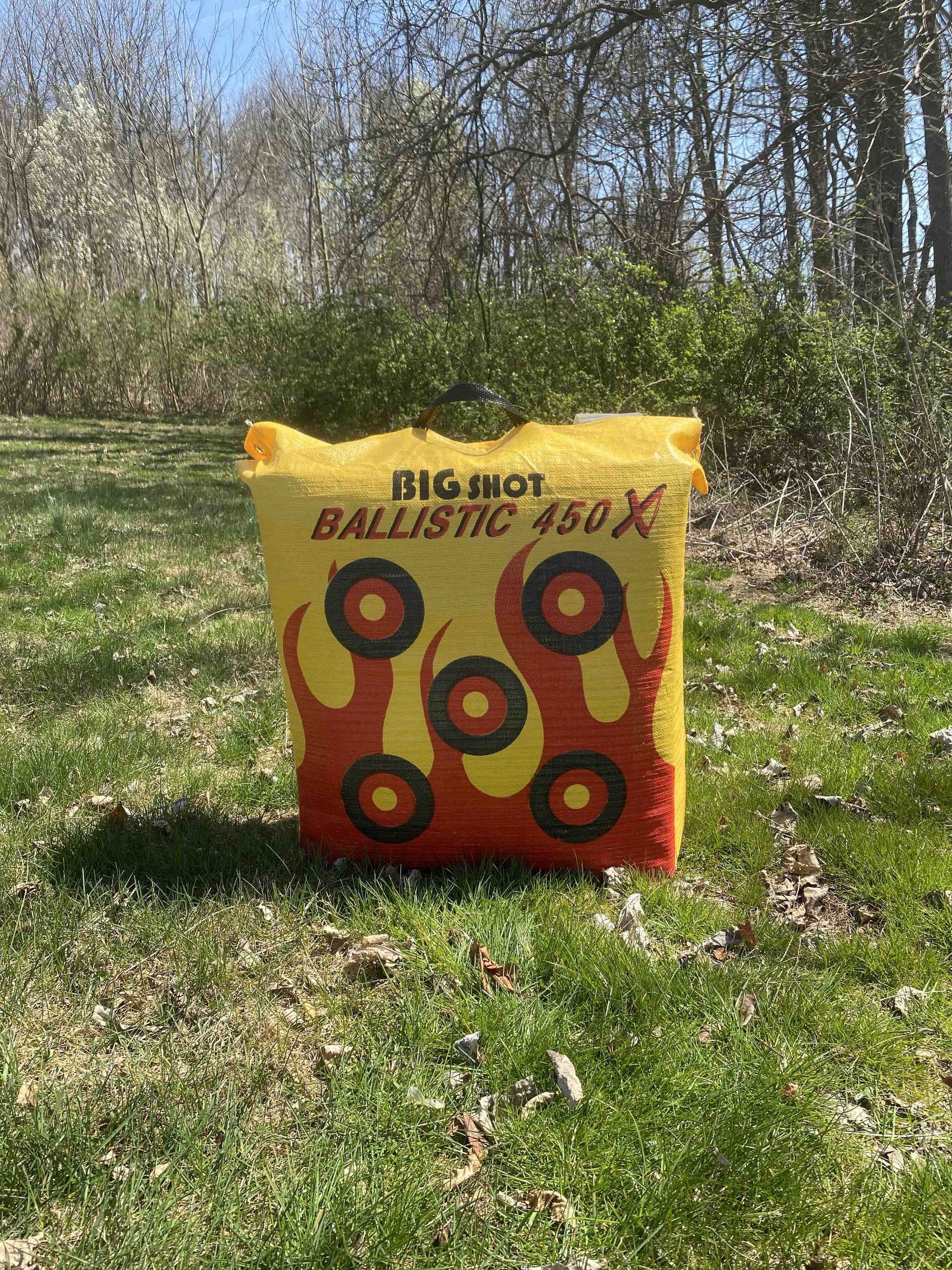 Ballistic 450X Bag Target - Vanguard Outdoors