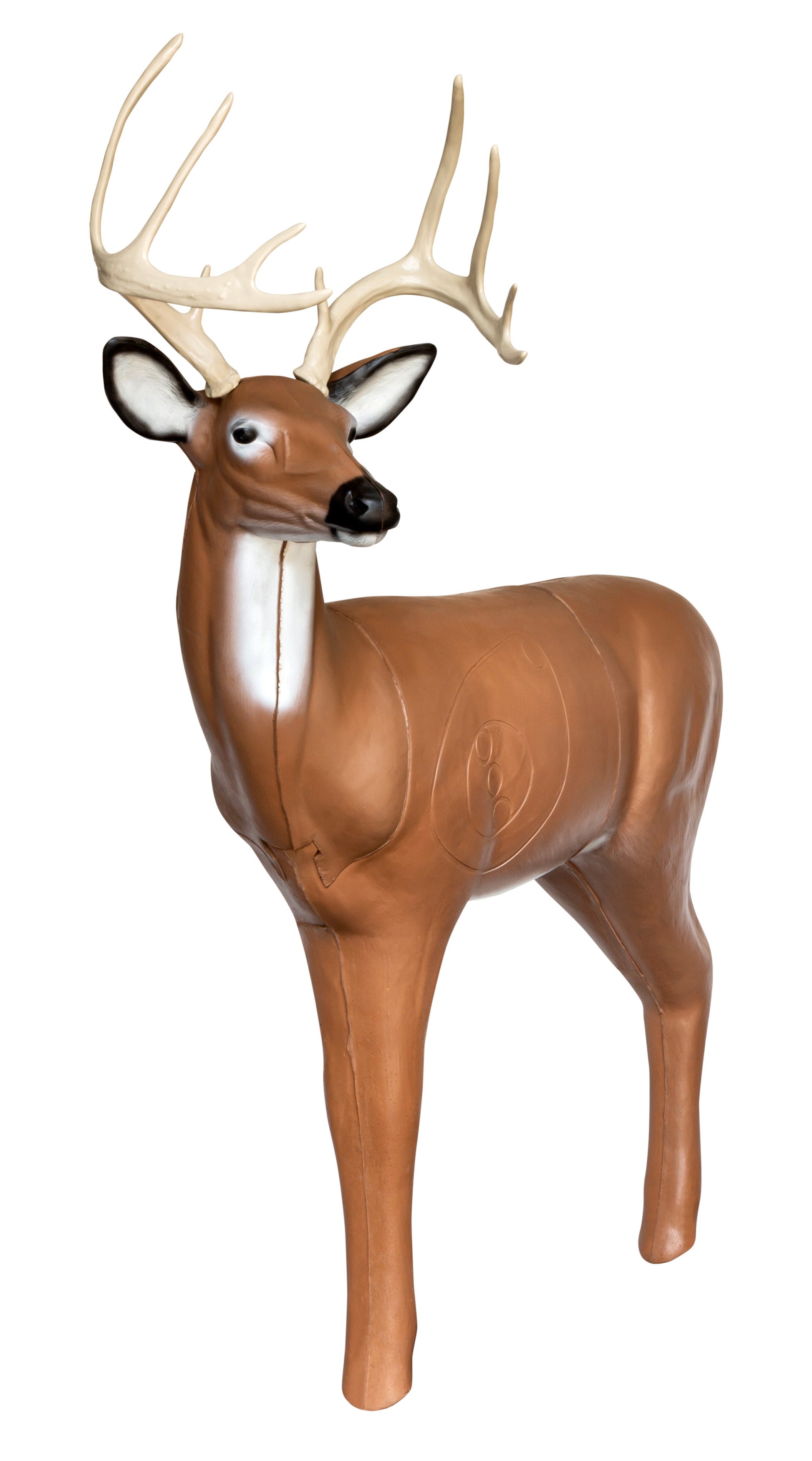 Real Wild 3D Medium Series Alert Buck Archery Target with EZ Pull Foam - Vanguard Outdoors