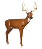 Real Wild 3D Medium Series Sneak Deer Archery Target with EZ Pull Foam - Vanguard Outdoors