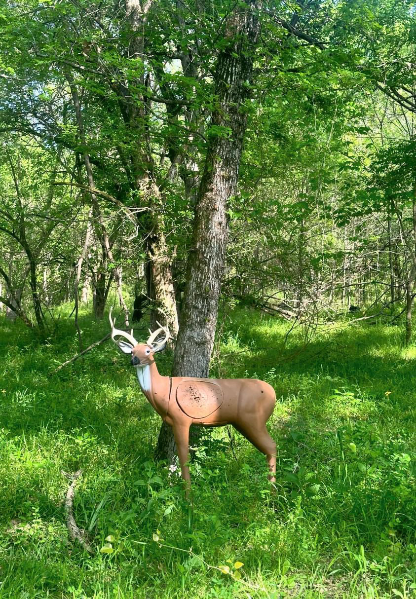 Pro Hunter Double Duty Buck Archery Target - Vanguard Outdoors