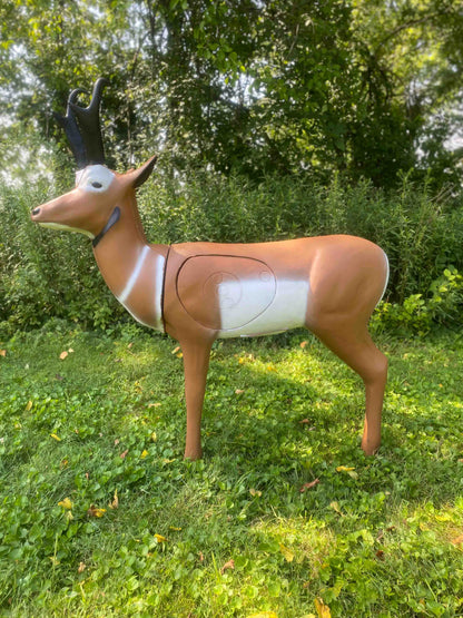 Real Wild 3D Pronghorn Antelope Archery Target with EZ Pull Foam - Vanguard Outdoors