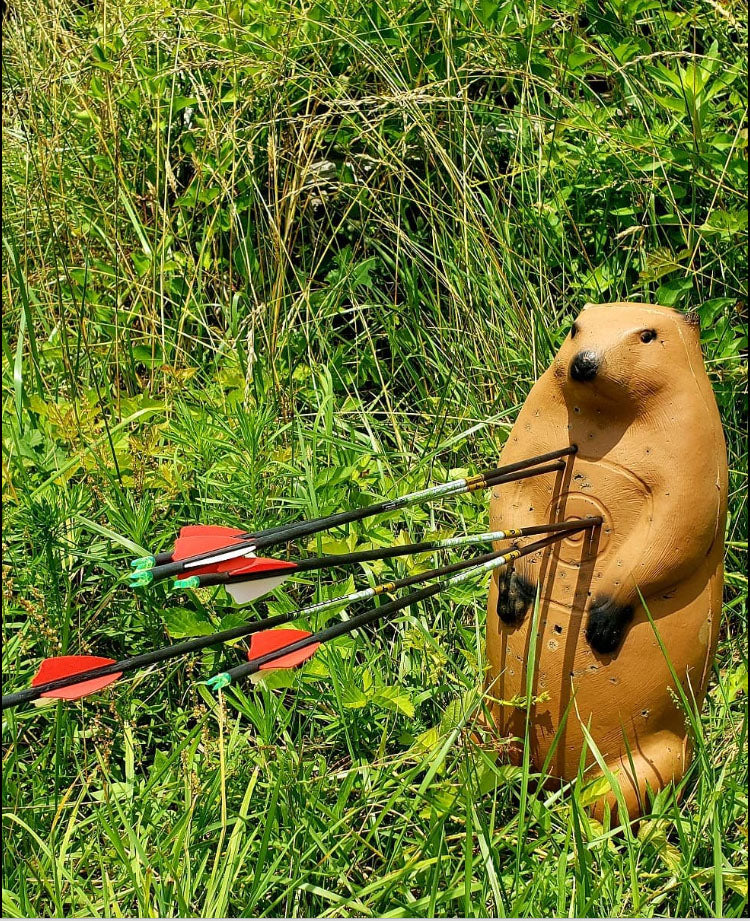 Real Wild 3D Standing Groundhog Archery Target with EZ Pull Foam - Vanguard Outdoors