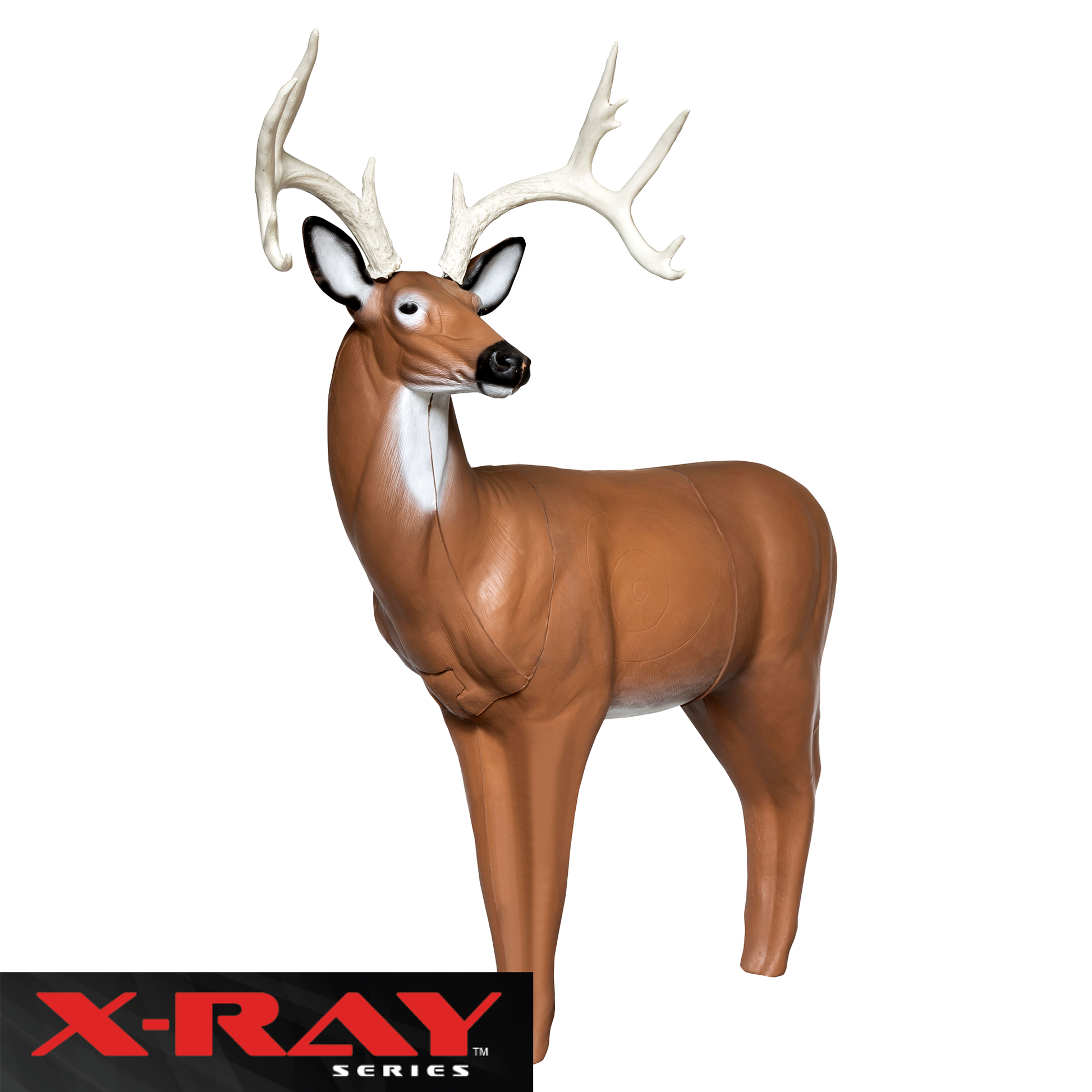 X-Ray Series Big Buck - Vanguard Outdoors