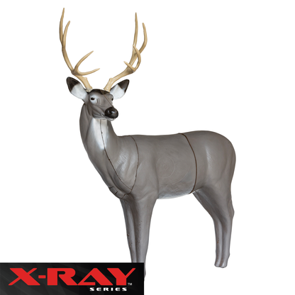 X-Ray Series Mule Deer - Vanguard Outdoors