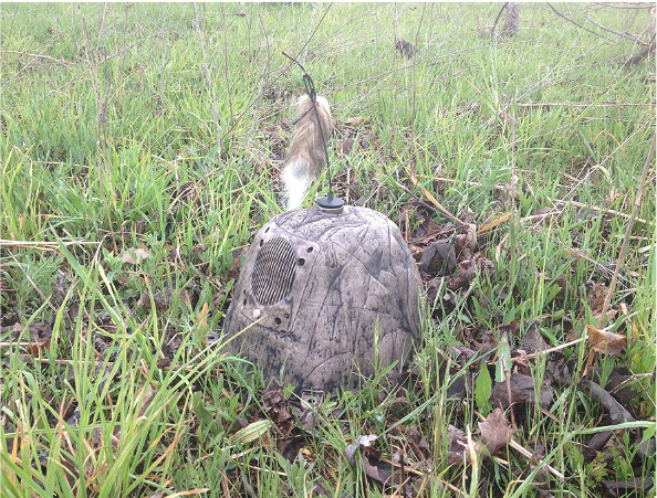 iHunt Remote Predator Decoy - Vanguard Outdoors